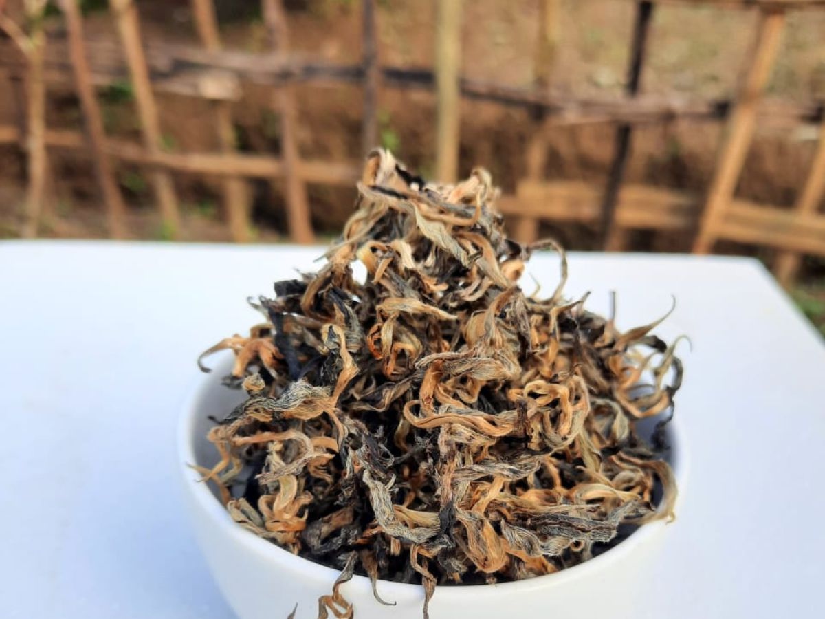 Premium Orthodox Black Tea