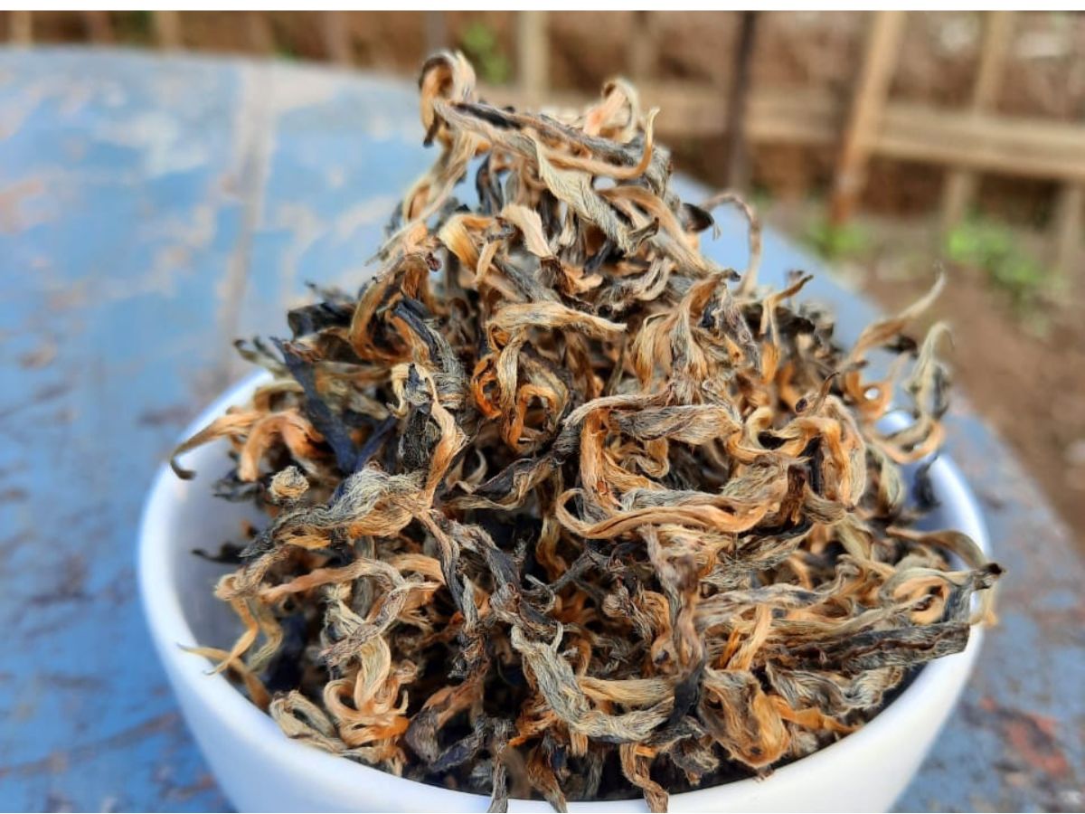 Golden Needle Premium Black Tea