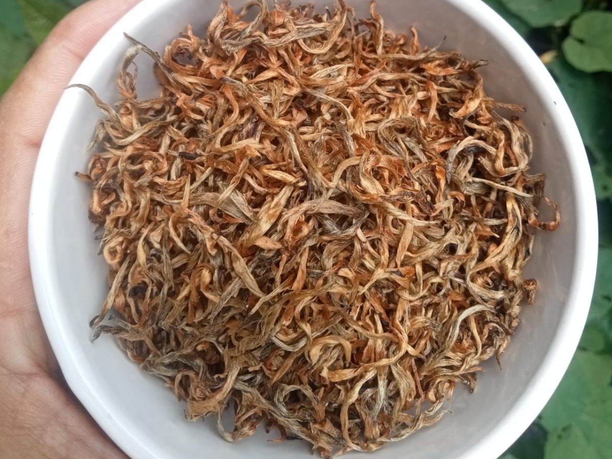 Golden Needle Premium Black Tea 