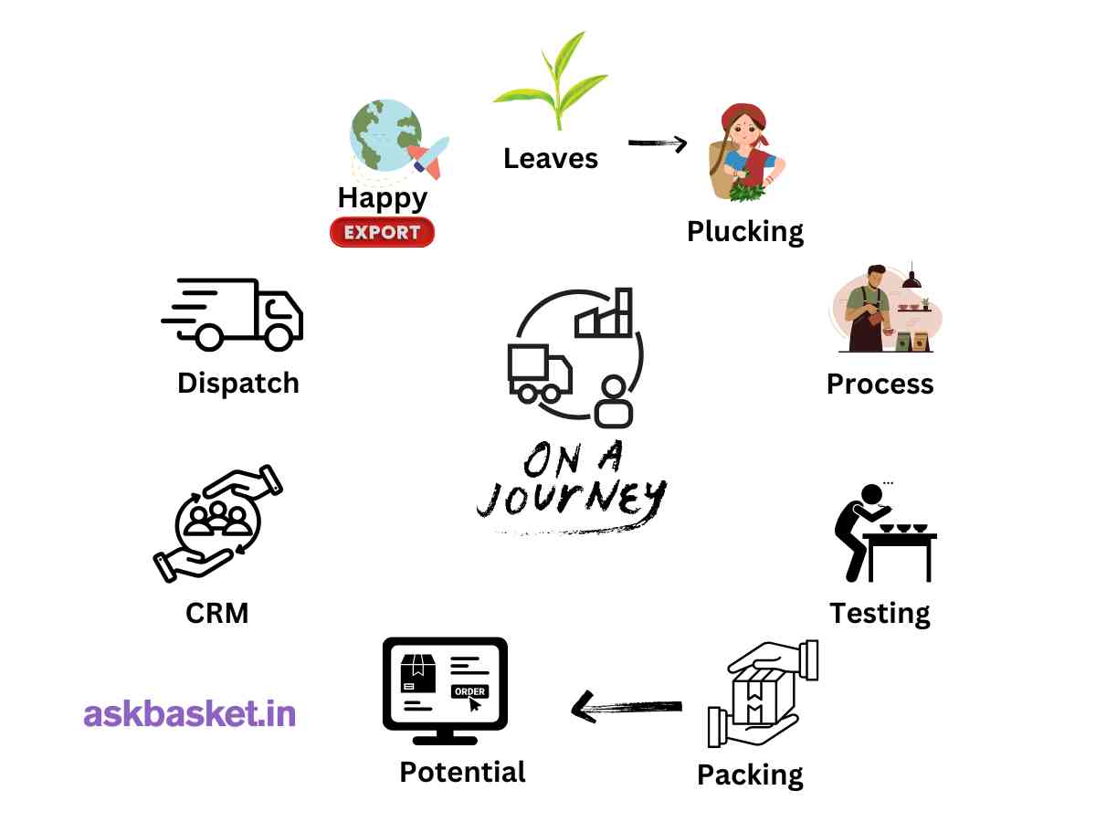 Askbasket Green Tea (Blue Balls) Journey