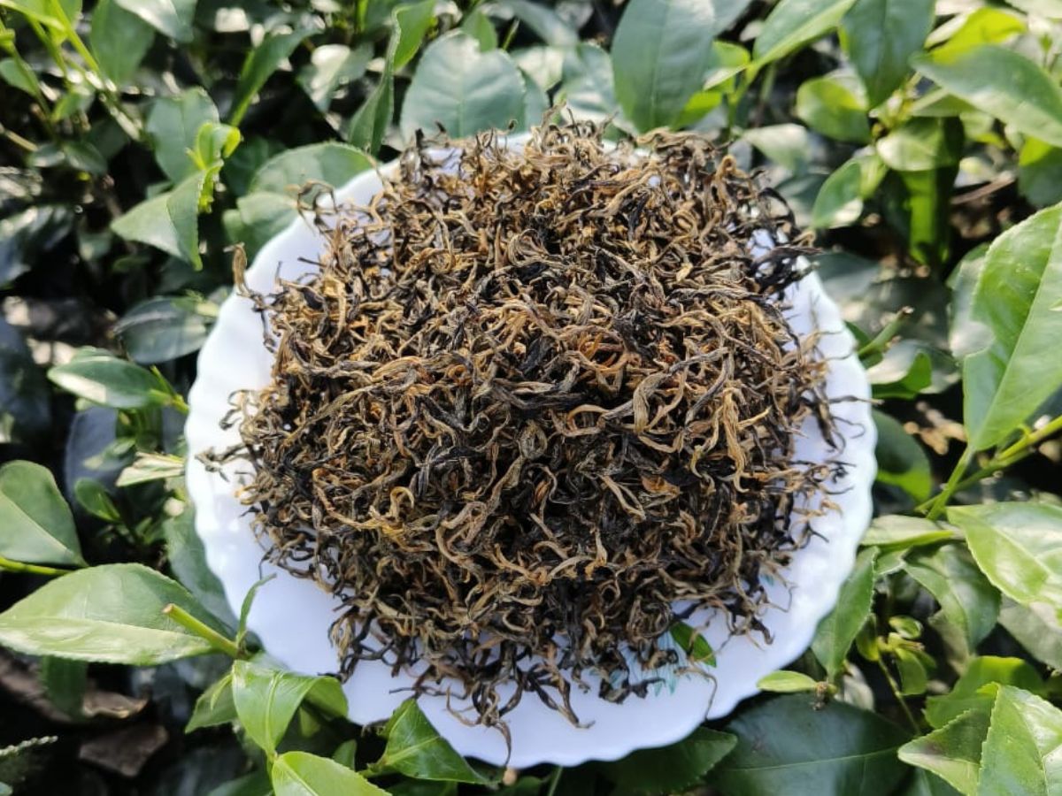 Golden Needle Premium Black Tea